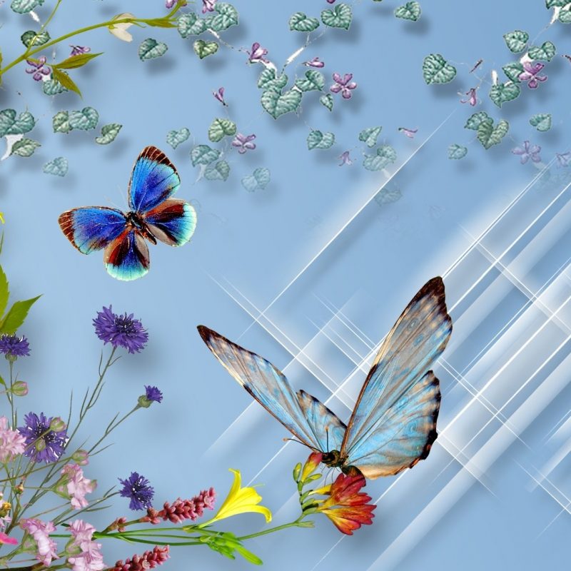 10 Top Butterfly With Flowers Wallpapers FULL HD 1920×1080 For PC Desktop 2024 free download butterflies and flowers full hd wallpaper and background image 800x800