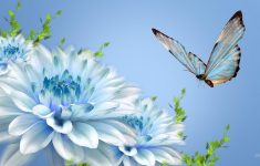 butterfly and flower wallpapers - wallpaper cave