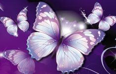 butterfly wallpapers free download group (66+)