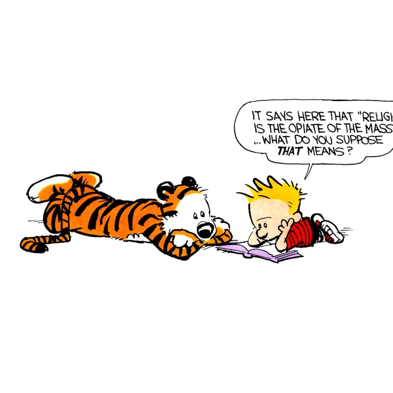 10 New Calvin And Hobbes Wallpaper Quote FULL HD 1920×1080 For PC Background 2024 free download calvin and hobbes quotes google search calvin and hobbes pinterest 800x800