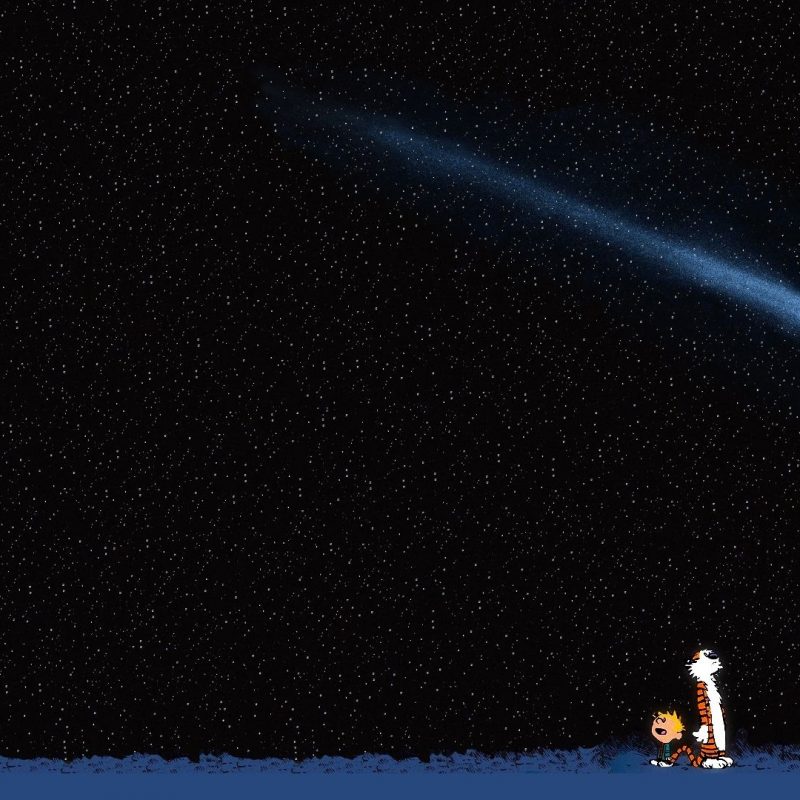 10 Best Calvin And Hobbes Hd Wallpaper FULL HD 1080p For PC Background 2023