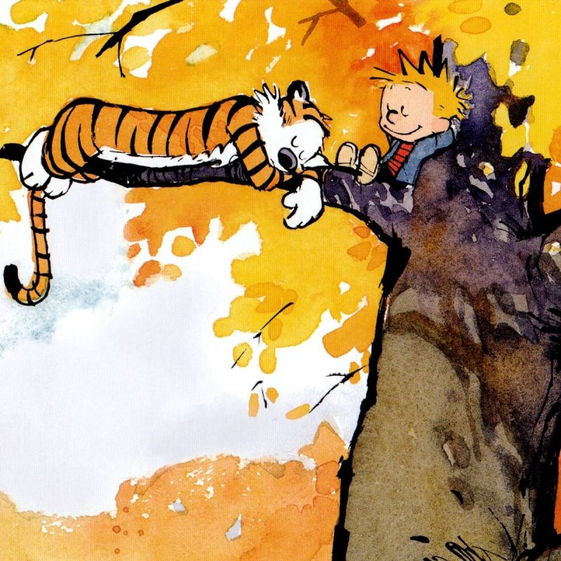 10 Best Calvin And Hobbes Hd Wallpaper FULL HD 1080p For PC Background 2024 free download calvin and hobbes wallpaper dump album on imgur 4 800x800