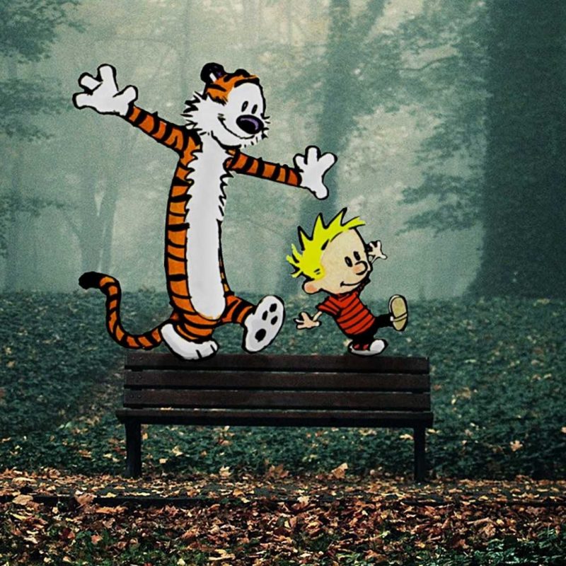 10 Best Calvin And Hobbes Hd Wallpaper FULL HD 1080p For PC Background 2024 free download calvin and hobbes wallpaper hd images photos c2b7e291a0 of mobile wallvie 800x800