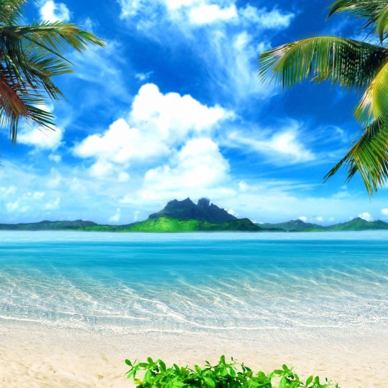 10 Best Caribbean Beach Pictures Wallpaper FULL HD 1920×1080 For PC Desktop 2024 free download caribbean beach nature 4k wallpaper free 4k wallpaper 1 800x800