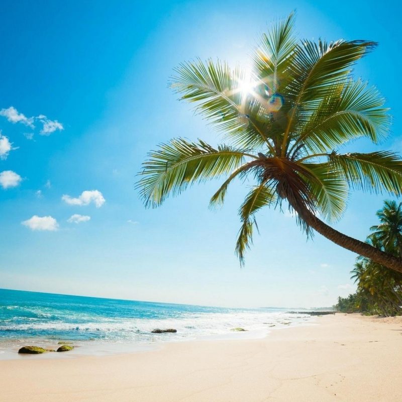 10 Best Caribbean Beach Pictures Wallpaper FULL HD 1920×1080 For PC Desktop 2024 free download caribbean beach wallpaper 43744 800x800