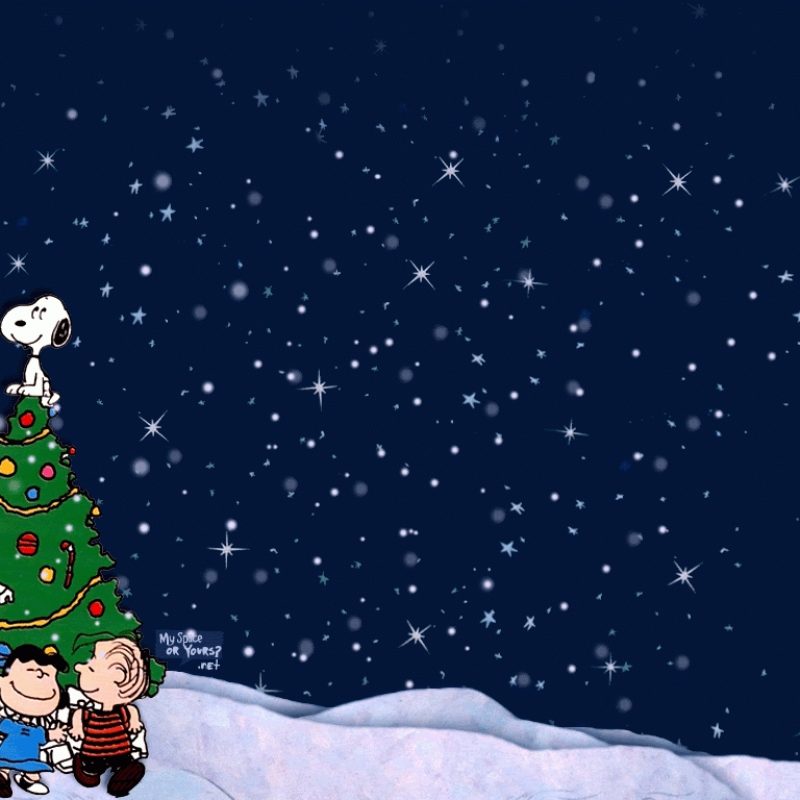 10 Best Charlie Brown Christmas Tree Wallpaper FULL HD 1920×1080 For PC Background 2021 free download charlie brown christmas wallpaper free large hd wallpaper database 800x800