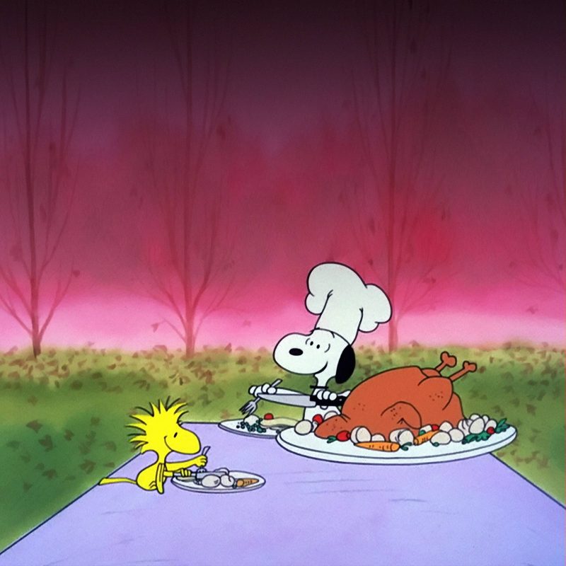 10 Latest Happy Thanksgiving Charlie Brown Wallpaper FULL HD 1920×1080 For PC Background 2024 free download charlie brown thanksgiving wallpapers wallpaper cave 800x800