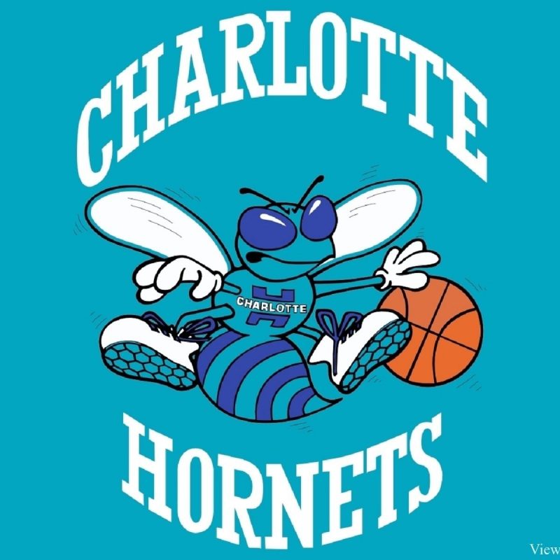 10 Latest Charlotte Hornets Iphone Wallpaper FULL HD 1080p For PC Background 2024 free download charlotte hornets logo charlotte hornets is back pinterest 800x800