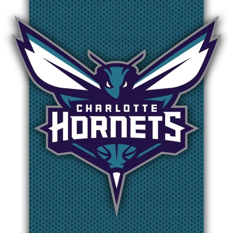 10 Latest Charlotte Hornets Iphone Wallpaper FULL HD 1080p For PC Background 2024 free download charlotte hornets png 626866 750x1334 pixels hornets pinterest 800x800