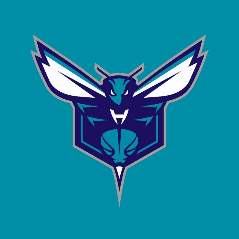 10 Latest Charlotte Hornets Iphone Wallpaper FULL HD 1080p For PC Background 2024 free download charlotte hornets wallpapers 76 images 800x800