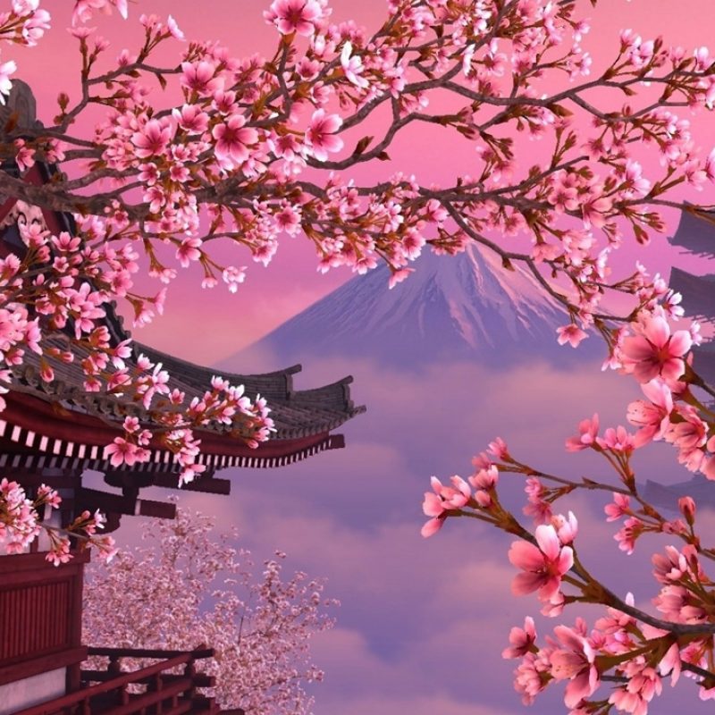 10 Latest Cherry Blossoms Wallpaper Hd FULL HD 1920×1080 For PC Background 2023 free download cherry blossom wallpaper bdfjade 1 800x800