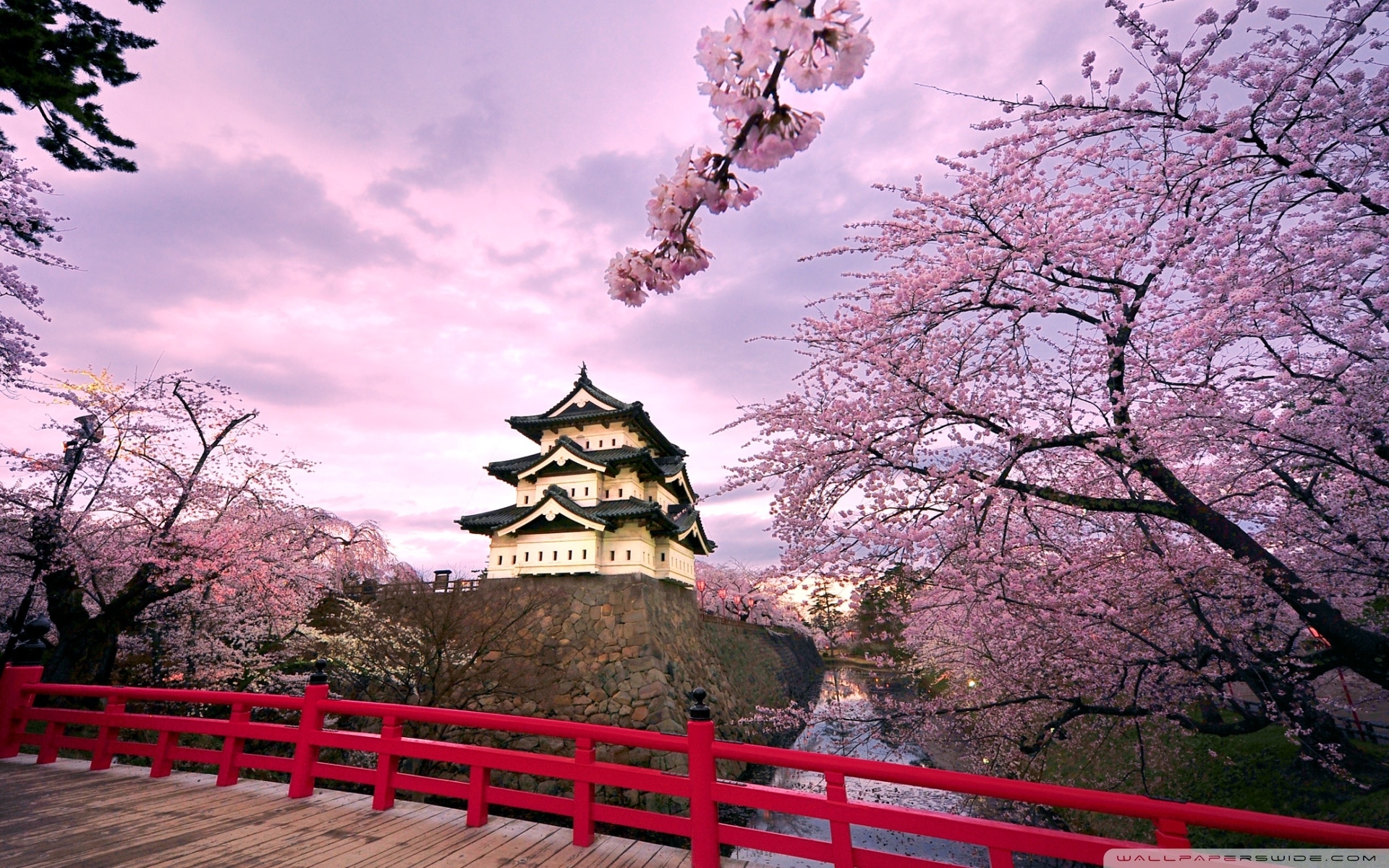 cherry blossoms, japan ❤ 4k hd desktop wallpaper for 4k ultra hd