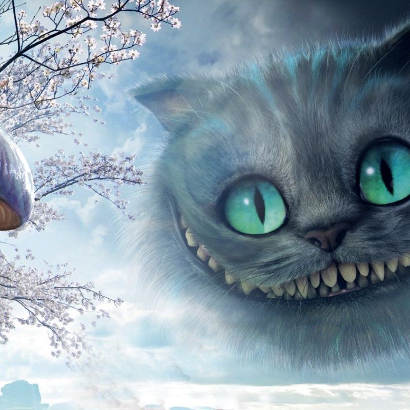 10 Top Cheshire Cat Wallpaper Hd FULL HD 1080p For PC Background 2024 free download cheshire cat wallpaper hd backgrounds images ololoshenka 800x800