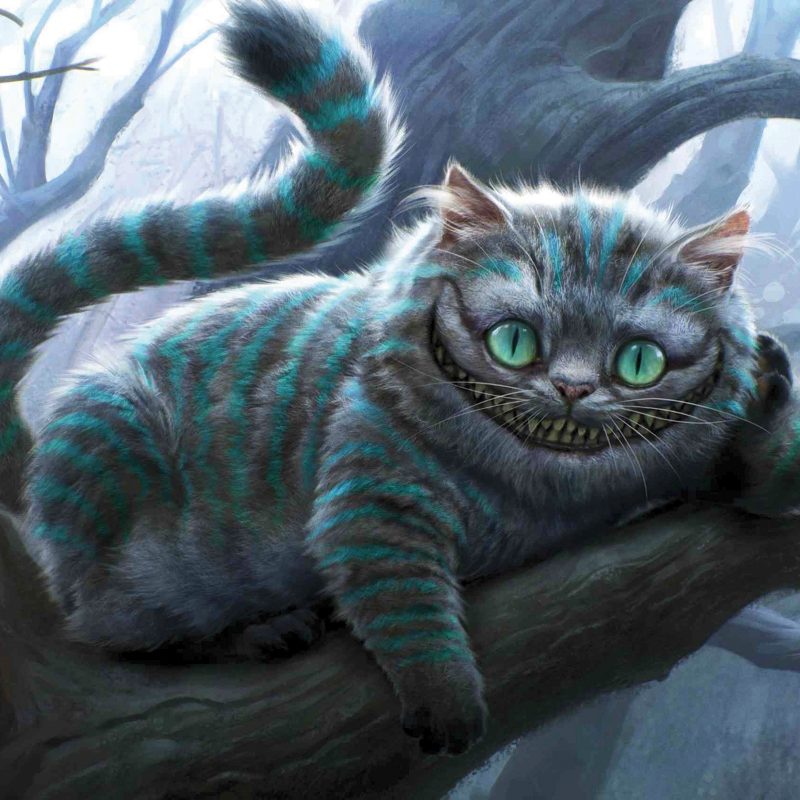 10 Top Cheshire Cat Wallpaper Hd FULL HD 1080p For PC Background 2024 free download cheshire cat wallpapers hd wallpapers id 10833 800x800