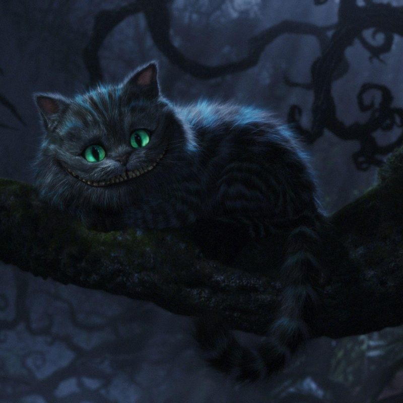 10 Top Cheshire Cat Wallpaper 1920X1080 FULL HD 1080p For PC Desktop 2024 free download cheshire cat wallpapers wallpaper cave 1 800x800