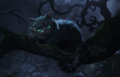 cheshire cat wallpapers - wallpaper cave