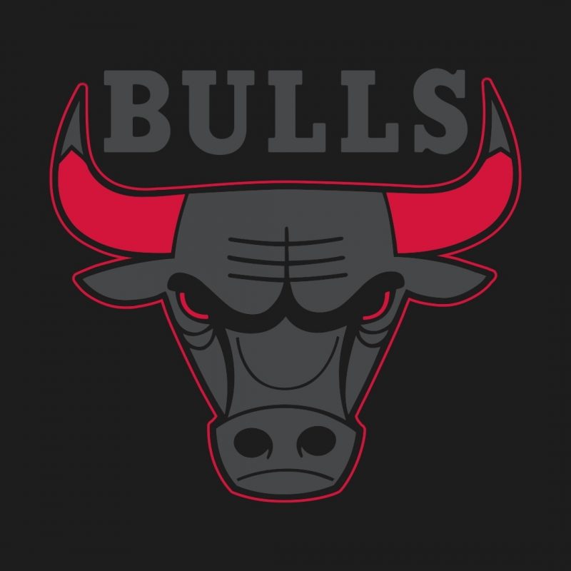 10 Top Chicago Bull Logo Wallpaper FULL HD 1080p For PC Background 2024 free download chicago bulls full hd fond decran and arriere plan 1920x1080 id 800x800