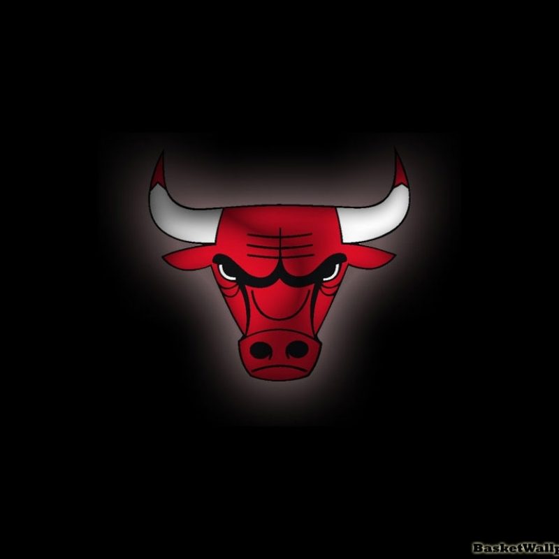 10 Top Chicago Bull Logo Wallpaper FULL HD 1080p For PC Background 2024 free download chicago bulls wallpapers gallery 81 plus pic wpt1014445 2 800x800
