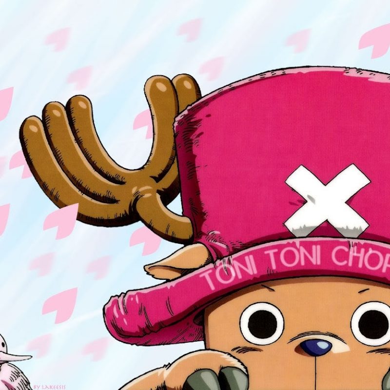10 Latest One Piece Chopper Wallpaper FULL HD 1080p For PC Background 2024 free download chopperone piece images chopper hd wallpaper and background 800x800