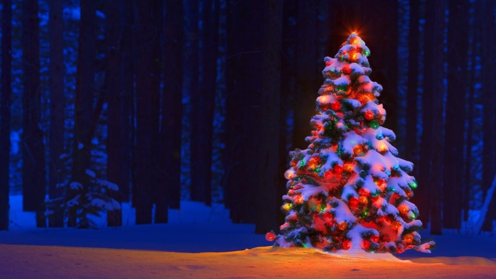10 Top Christmas Lights Pictures For Desktop FULL HD 1920×1080 For PC Desktop 2021 free download christmas lights tree desktop backgrounds media file 1024x576