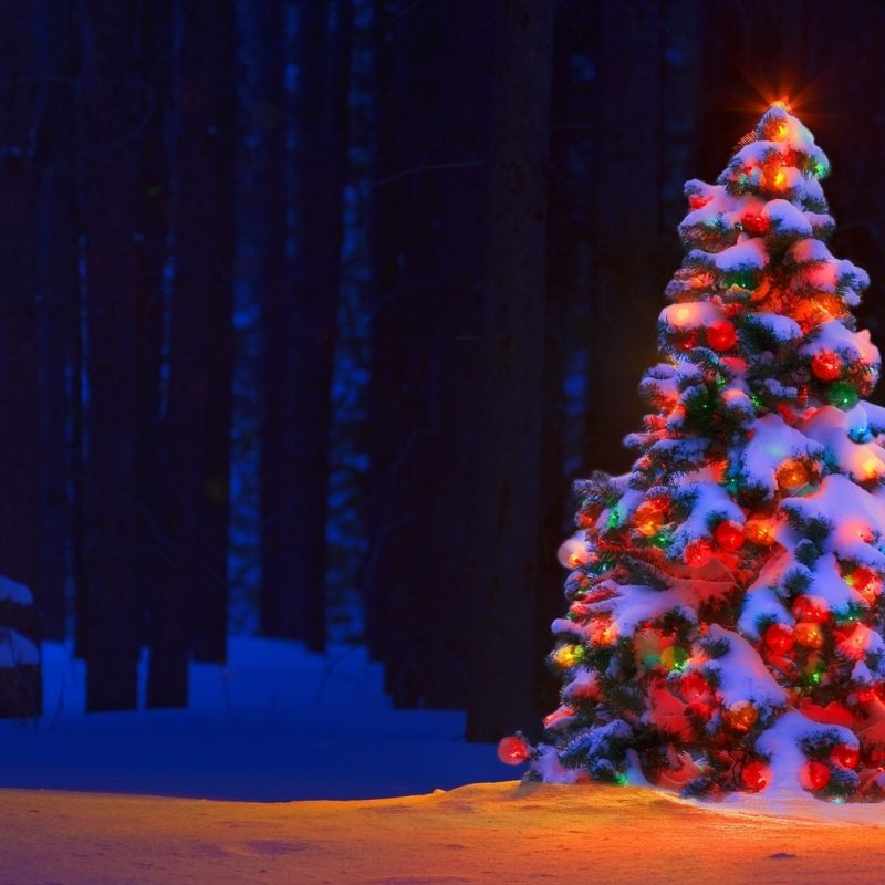 10 Best Christmas Tree Pictures For Desktop FULL HD 1920×1080 For PC Desktop 2021 free download christmas lights tree desktop backgrounds wallpaper wiki 800x800