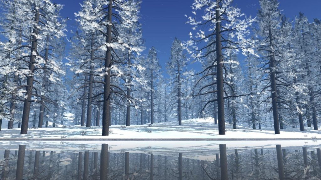 10 Top Christmas Snow Scene Wallpaper FULL HD 1080p For PC Background 2023 free download christmas snow scene walldevil 1024x576