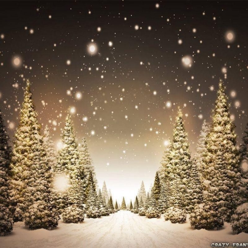 10 New Snowy Christmas Scenes Photos FULL HD 1080p For PC Background 2024 free download christmas snow scene wallpapers wallpaper cave 4 800x800