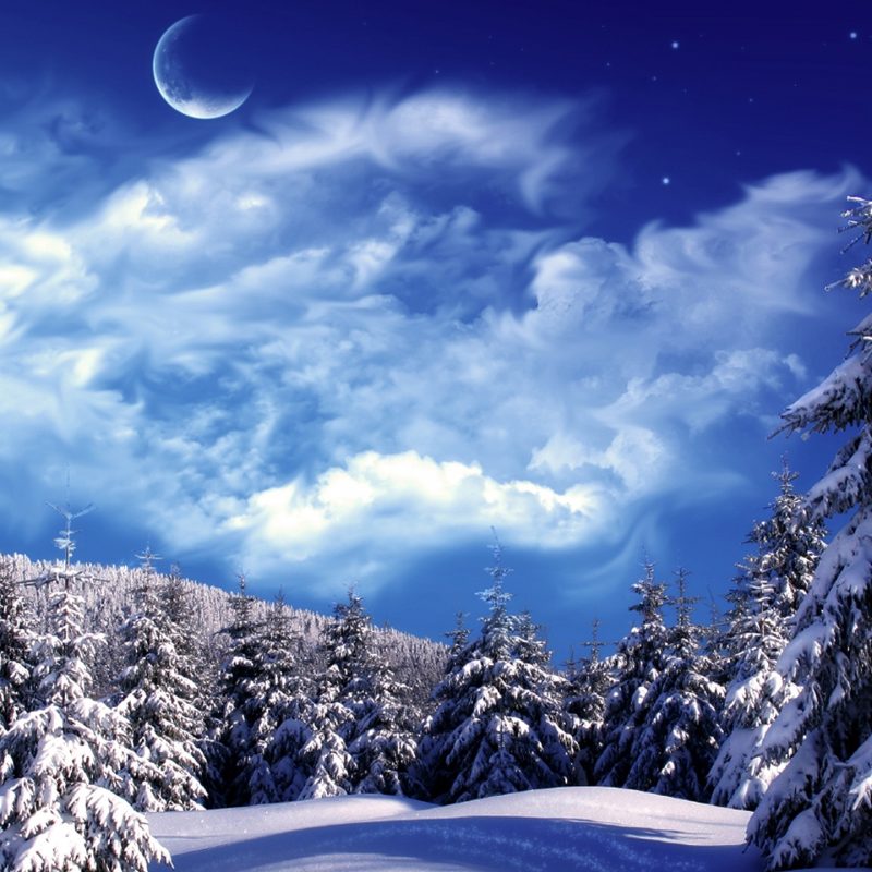 10 Latest Images Of Snow Scenes FULL HD 1920×1080 For PC Background 2024 free download christmas snow wallpaper scenes 38 images 1 800x800