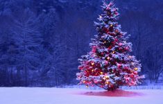 christmas tree full with lights and snow - hd wallpaper
