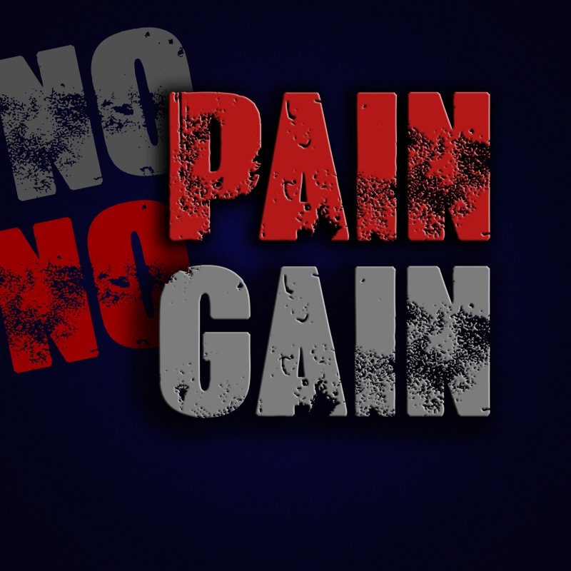 10 Top No Pain No Gain Wallpapers FULL HD 1920×1080 For PC Background 2024 free download clan no pain no gain npng archive tanki online forum 800x800