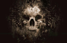 cool skull pictures | skulls skull wallpaper | ~ skulls~ | skull