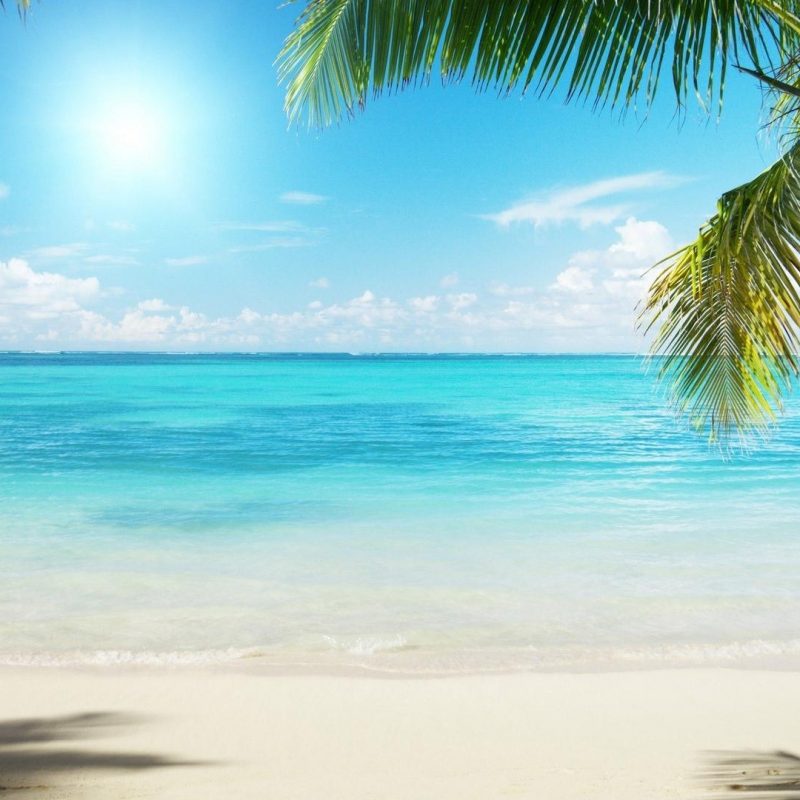 10 Top Sunny Beach Wallpaper Hd FULL HD 1920×1080 For PC Desktop 2024 free download cool sunny beach wallpaper 133827 800x800