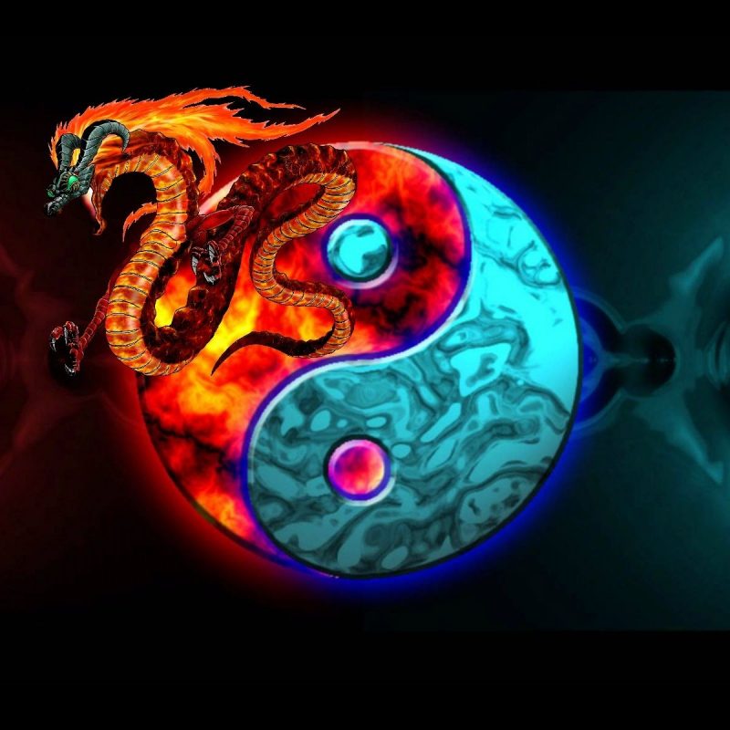 10 Best Cool Yin Yang Pictures FULL HD 1080p For PC Background 2024 free download cool yin yang wallpaper wallpapersafari free wallpapers 800x800