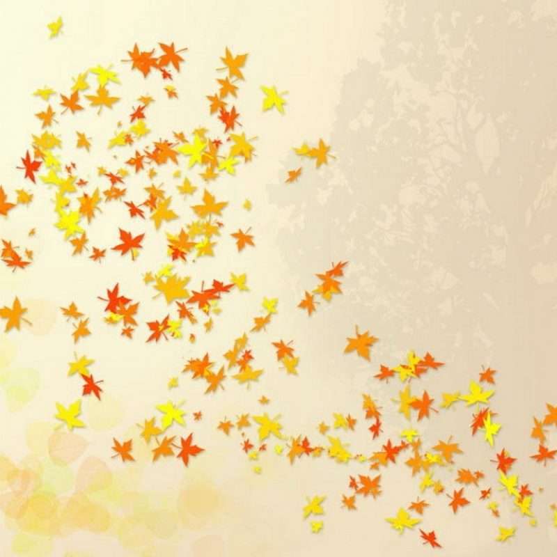 10 Most Popular Cute Fall Computer Wallpaper FULL HD 1080p For PC Background 2024 free download cute autumn wallpaper 800x800
