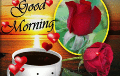 cute good morning gif pictures, photos, and images for facebook