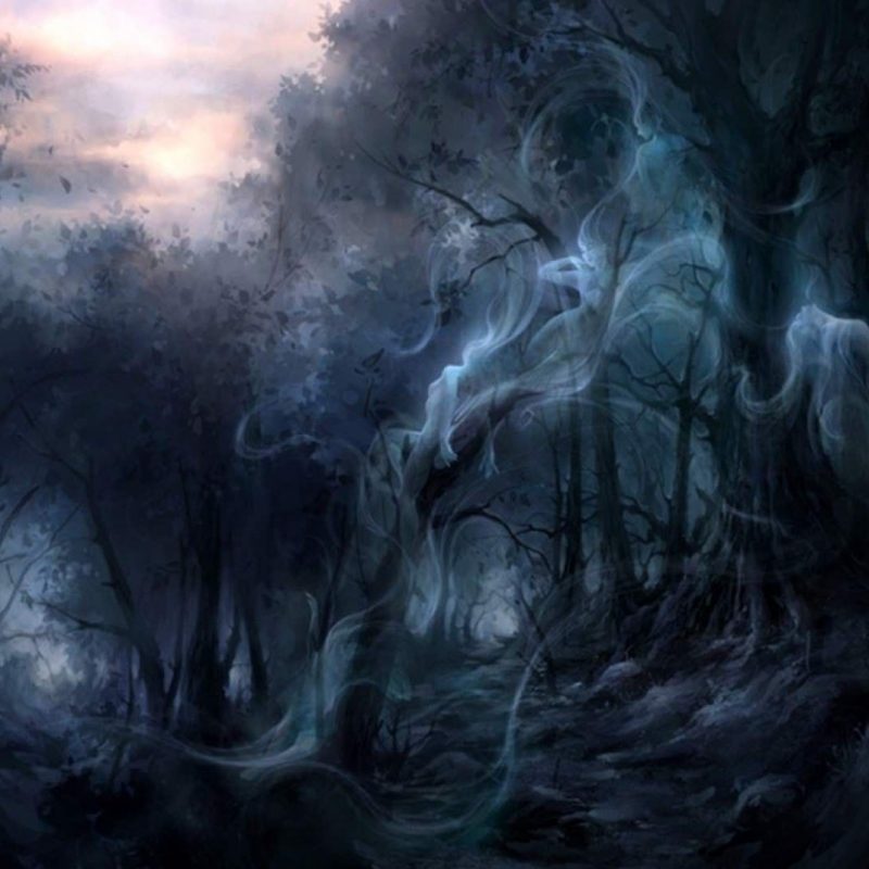 10 Most Popular Dark Enchanted Forest Background FULL HD 1920×1080 For PC Background 2024 free download dark enchanted forest ghost full screen wallpaper 1920x1080 800x800