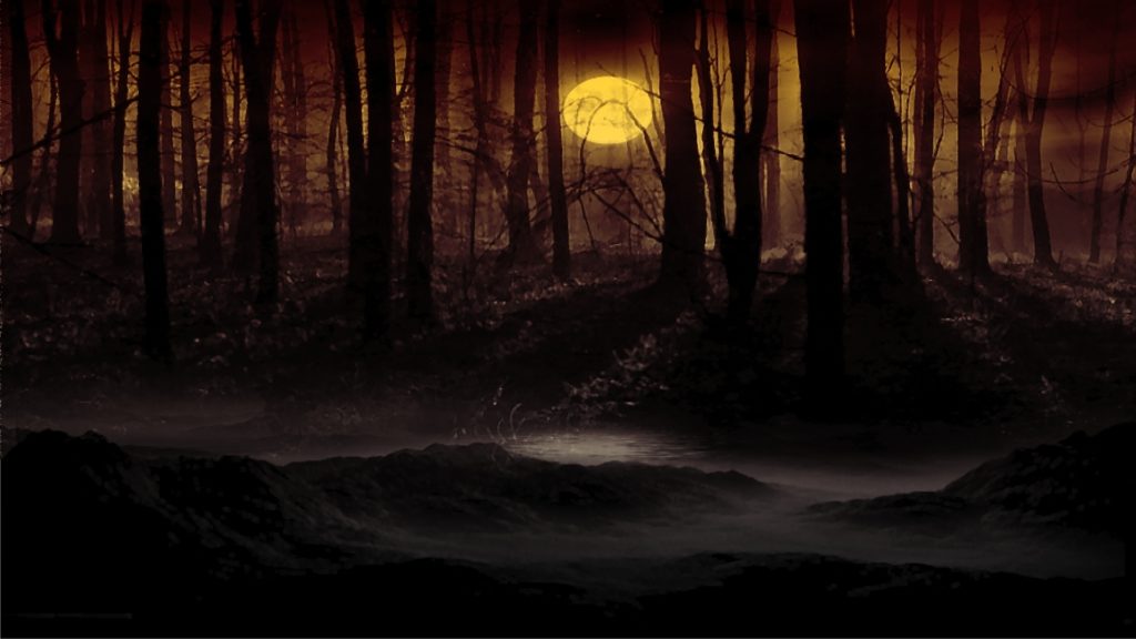 10 Latest Dark Forest Background With Moon FULL HD 1920×1080 For PC Background 2024 free download dark forest background with moon 10019 background check all 1024x576