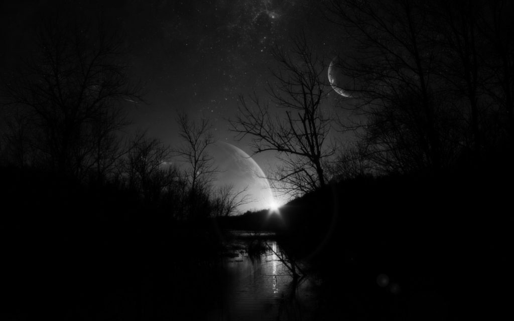 10 Latest Dark Forest Background With Moon FULL HD 1920×1080 For PC Background 2024 free download dark forest night hd desktop wallpaper instagram photo 1024x640