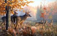deer wallpapers 4 | animals wallpapers | pinterest | deer wallpaper
