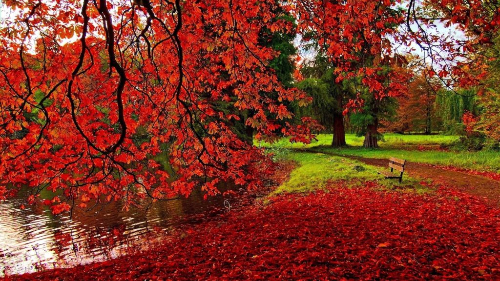 10 Best Autumn Images For Desktop FULL HD 1080p For PC Background 2024 free download desktop autumn wallpaper hd 1 wallpaper wiki 1024x576