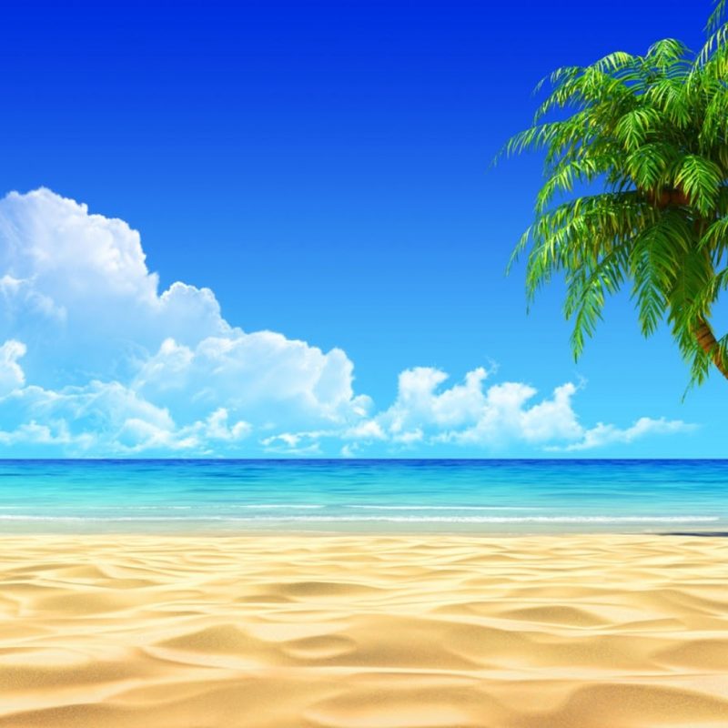 10 New Free Beach Desktop Wallpaper FULL HD 1080p For PC Background 2024 free download desktop background wallpaper free download free beach wallpaper 800x800