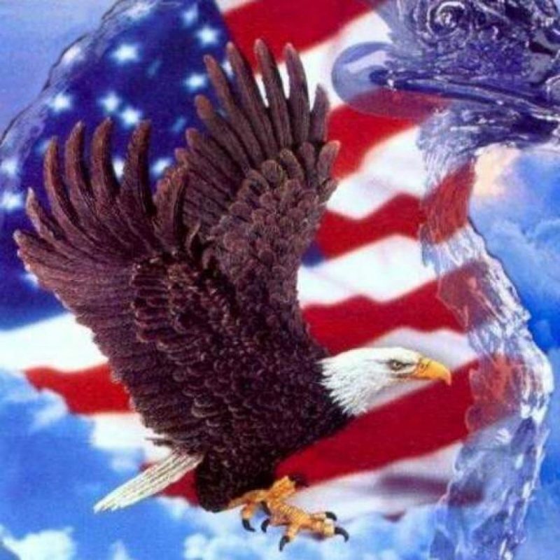10 Top Eagle And Flag Wallpaper FULL HD 1080p For PC Desktop 2021 free download desktop eagle american flag wallpaper 800x800