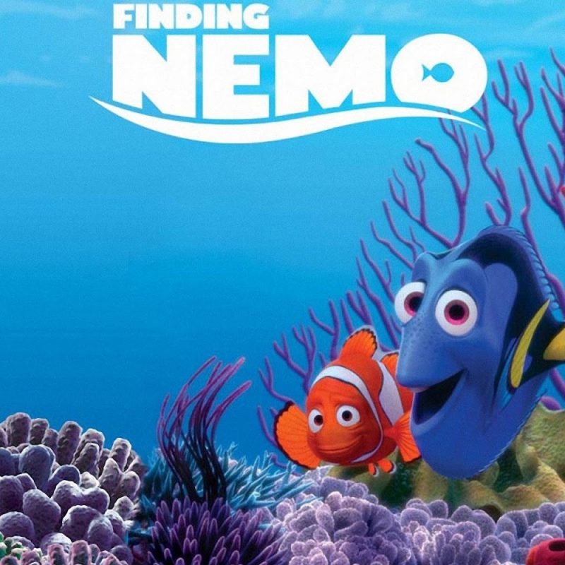10 Latest Finding Nemo Hd Wallpaper FULL HD 1080p For PC Desktop 2024 free download disney hd wallpapers finding nemo hd wallpapers 1 800x800