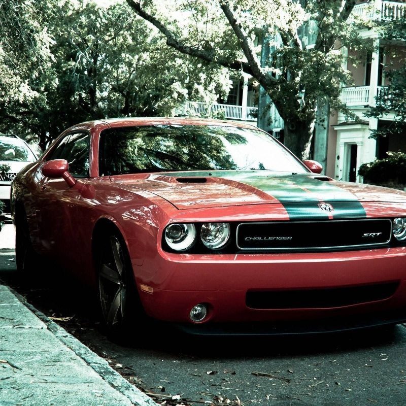10 Best American Muscle Cars Wallpapers FULL HD 1080p For PC Desktop 2021 free download dodge challenger srt street american muscle car wide hd wallpaper 800x800
