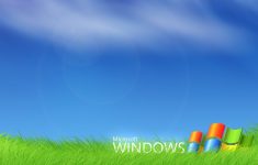 download 45 hd windows xp wallpapers for free