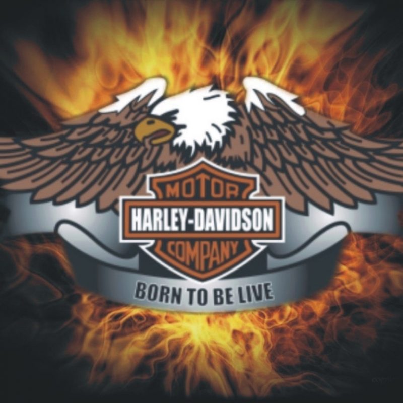 10 Latest Free Harley Davidson Wallpaper FULL HD 1080p For PC Desktop 2023