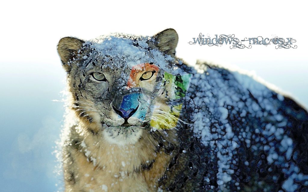 10 Most Popular Mac Snow Leopard Wallpapers FULL HD 1080p For PC Desktop 2024 free download download new mac os x snow leopard desktop wallpapers wallpapers 1024x640