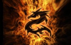 dragon wallpaper free download
