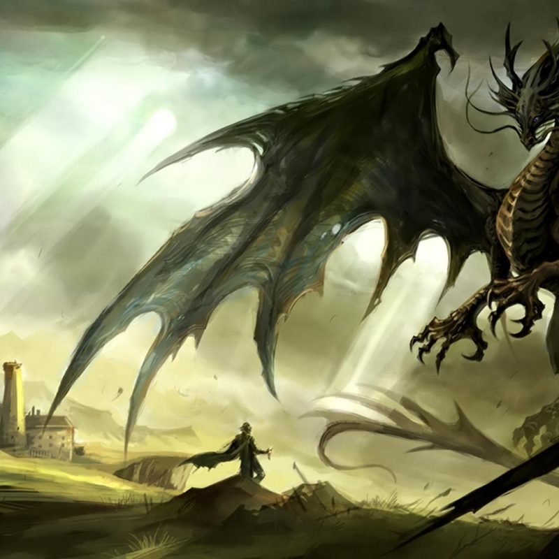 10 Most Popular Hd Dragon Wallpapers 1080P FULL HD 1920×1080 For PC Background 2024 free download dragon wallpapers backgrounds wallpaper wiki 1 800x800