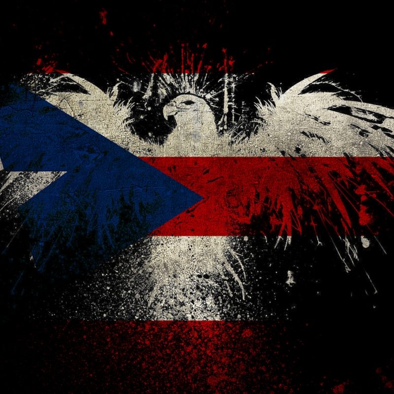 10 Latest Puerto Rican Flag Wallpapers FULL HD 1920×1080 For PC Desktop 2023 free download eagle shaped puerto rico flag wallpaper 8530 800x800